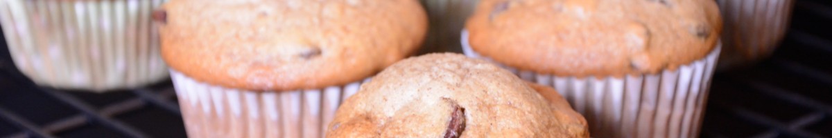 Raisin Chocolate Muffins
