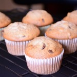 Raisin Chocolate Muffins